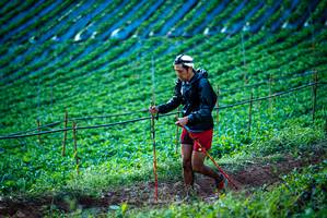 BIB: 
                            <button type="button" onclick="openModal(19160171)" class="btn btn-primary btn-sm float-right btn-popup" data-toggle="modal" data-target=".modal-high-quality">
                        <i class="fas fa-shopping-cart"></i> Add to Cart
                    </button>
                                            <button type="button" onclick="isThisMe(19160171, true)" class="btn btn-success btn-sm float-right btn-popup btn-isme hidden" data-toggle="tooltip" data-placement="bottom" title="นี่คือรูปของคุณใช่ไหม คลิกที่นี่เพื่อเอาเข้าอัลบั้ม">
                        <i class="fas fa-plus"></i> Add to album
                    </button>
                    <button type="button" onclick="isThisMe(19160171, false)" class="btn btn-warning btn-sm float-right btn-popup btn-isnotme hidden">
                        <i class="fas fa-ban"></i> Remove from album
                    </button>